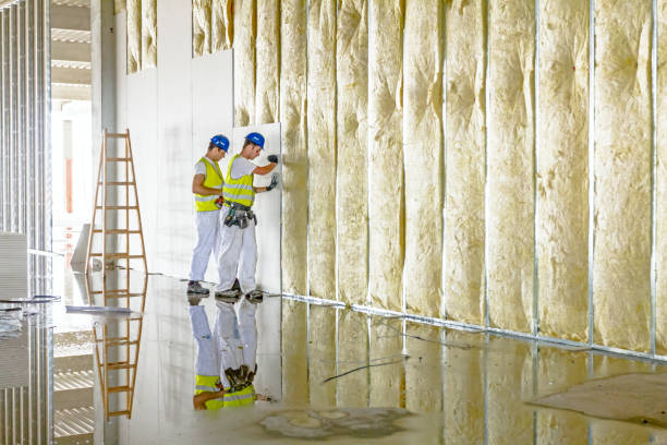 Best Wall Insulation Installation  in West Springfield, VA